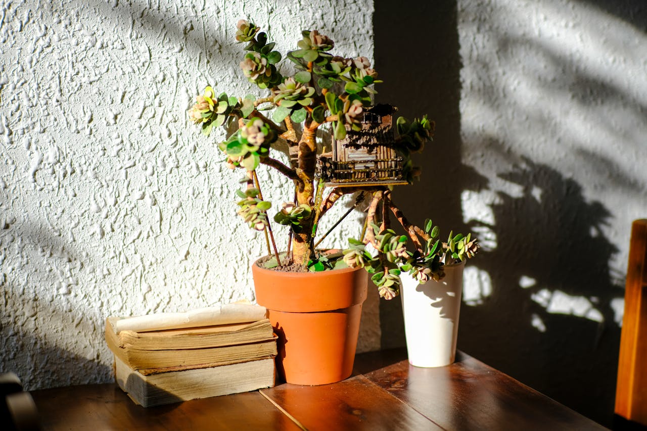 Gián điệp mạng | Chương 10