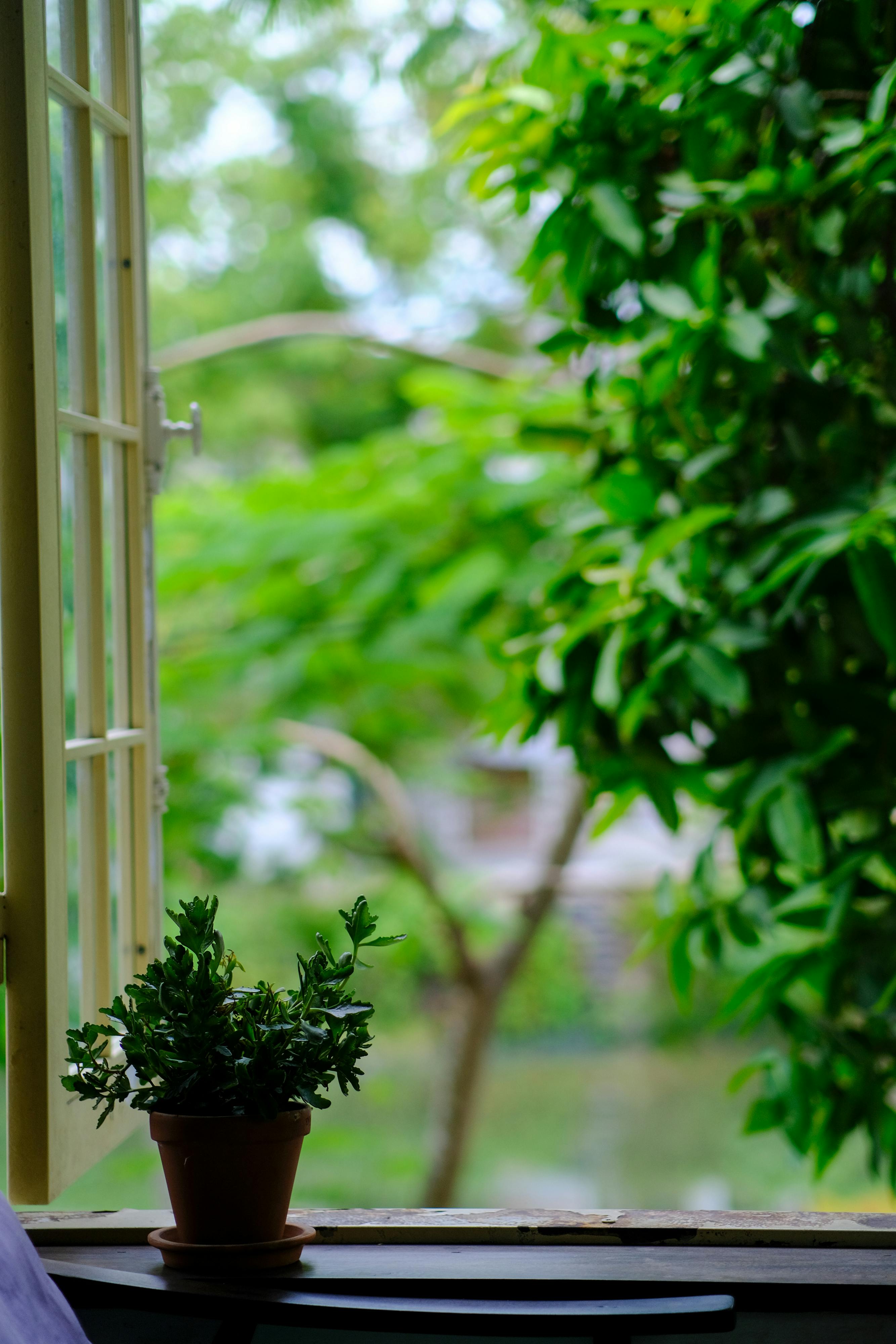 Trung tâm nghiên cứu văn học, phát triển nhà văn Việt Nam