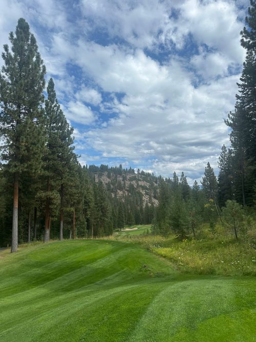 Free Lush green forested golf course under a vibrant blue sky with fluffy clouds. Stock Photo