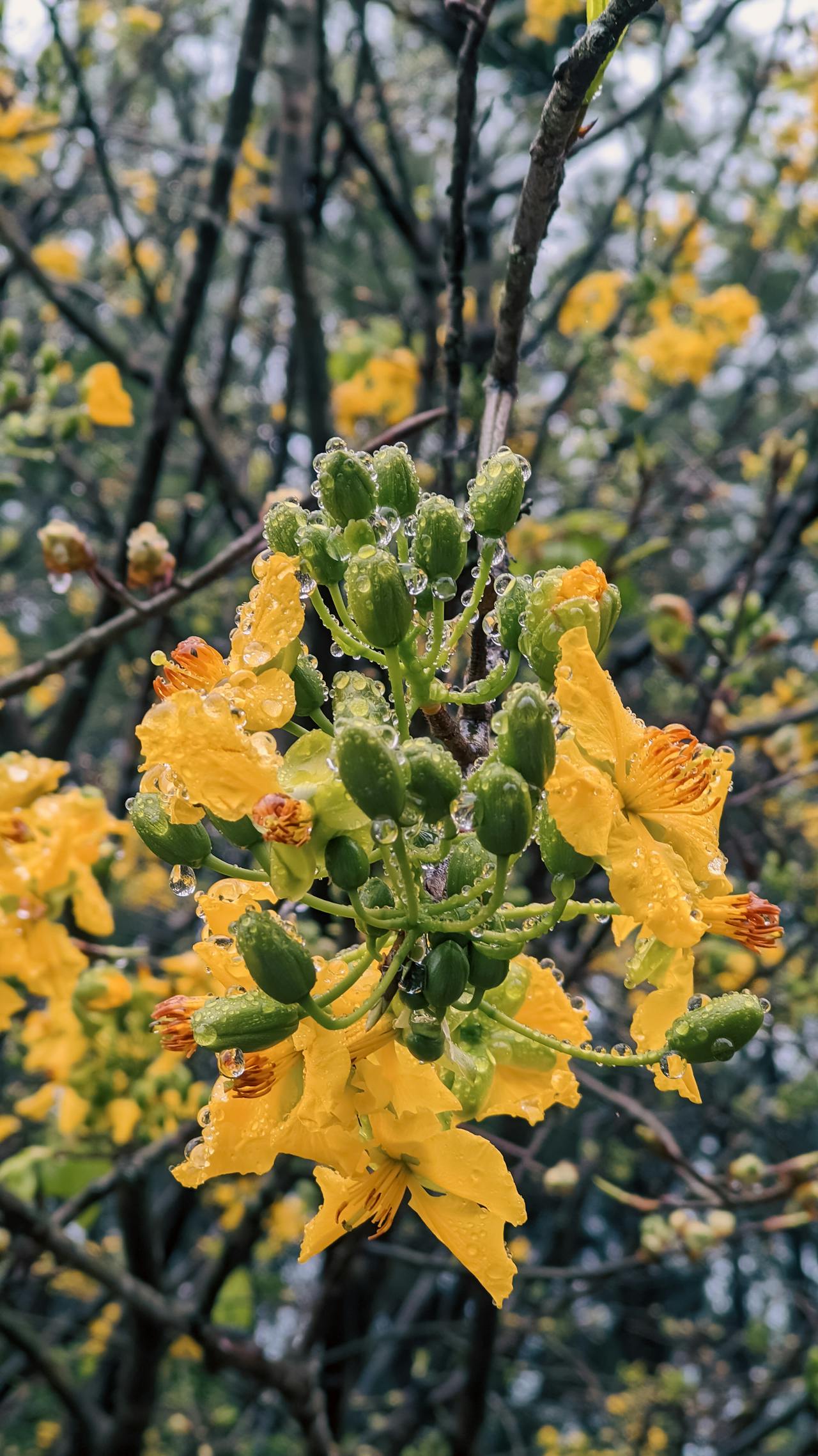 Nietzsche giúp cải thiện đời sống tình cảm