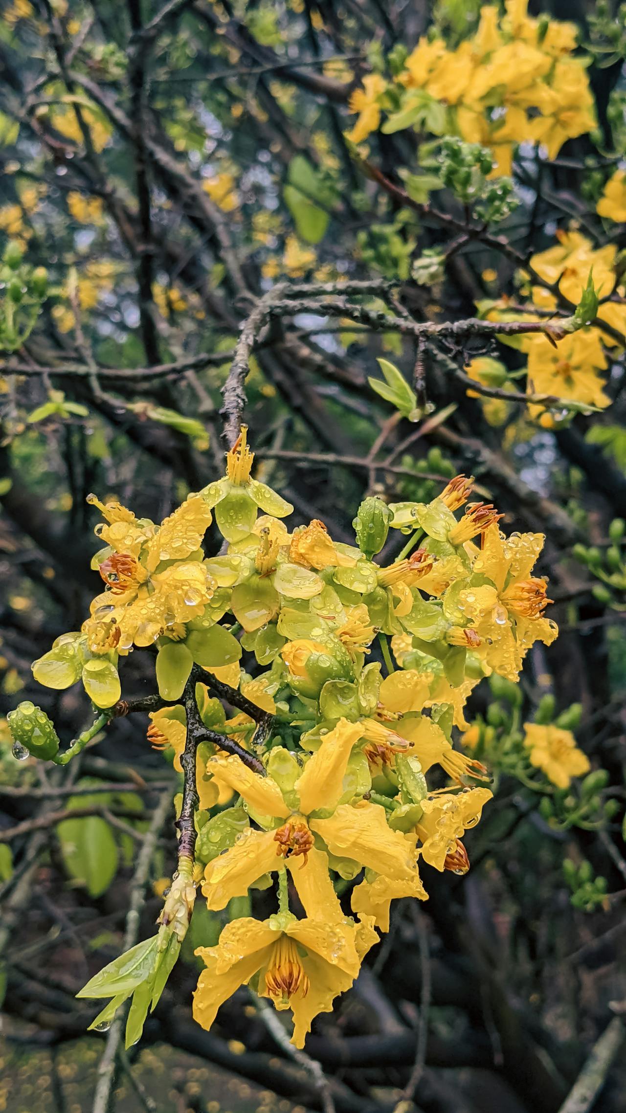Tội ác và trừng phạt