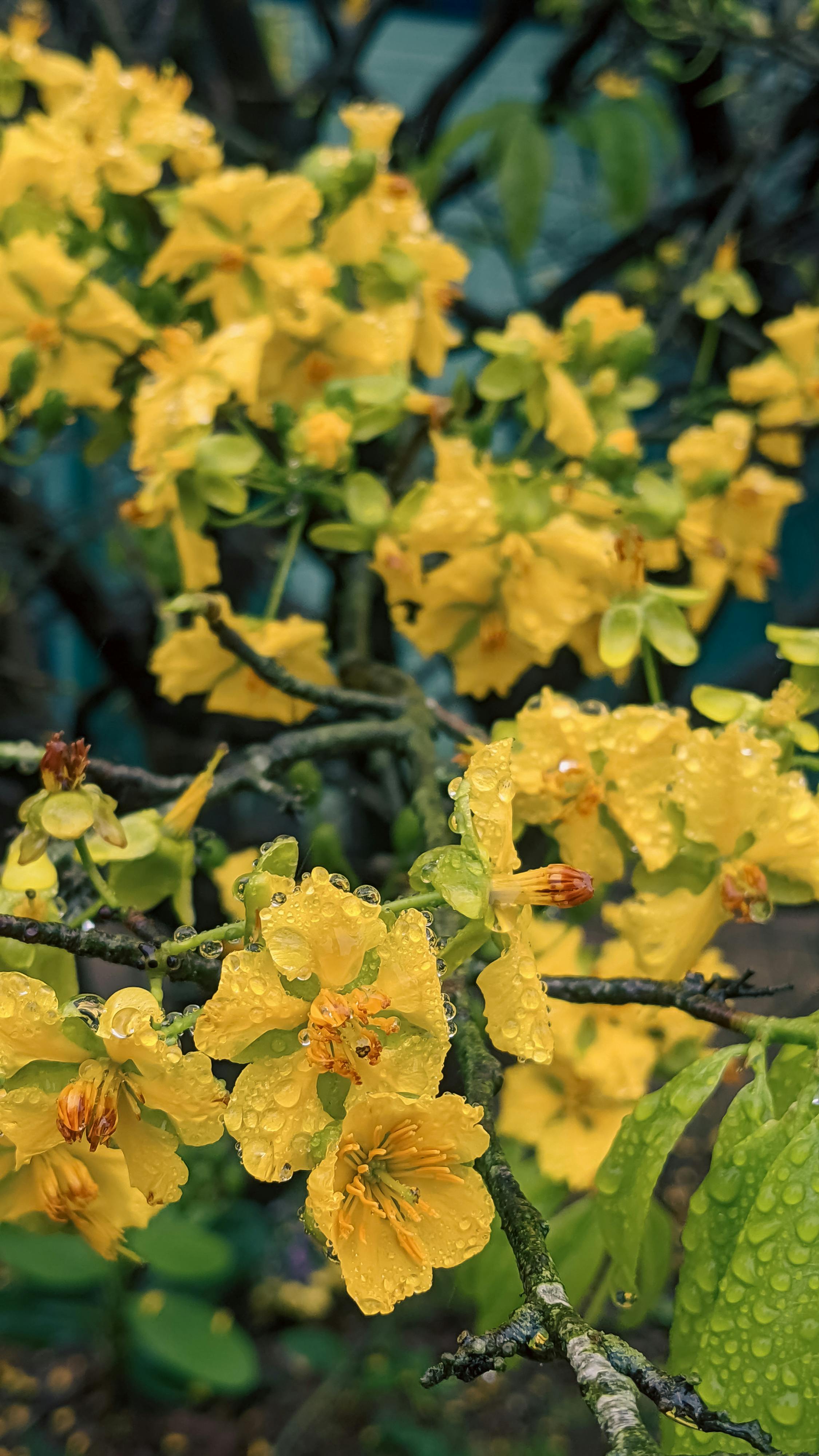 Ỷ thiên đồ long ký | Chương 39 730 – thu vien, van hoc, van hoc trung quoc, kiem hiep, kim dung, y thien do long ky, y thien do long ky chuong 39, y thien do long ky 39.