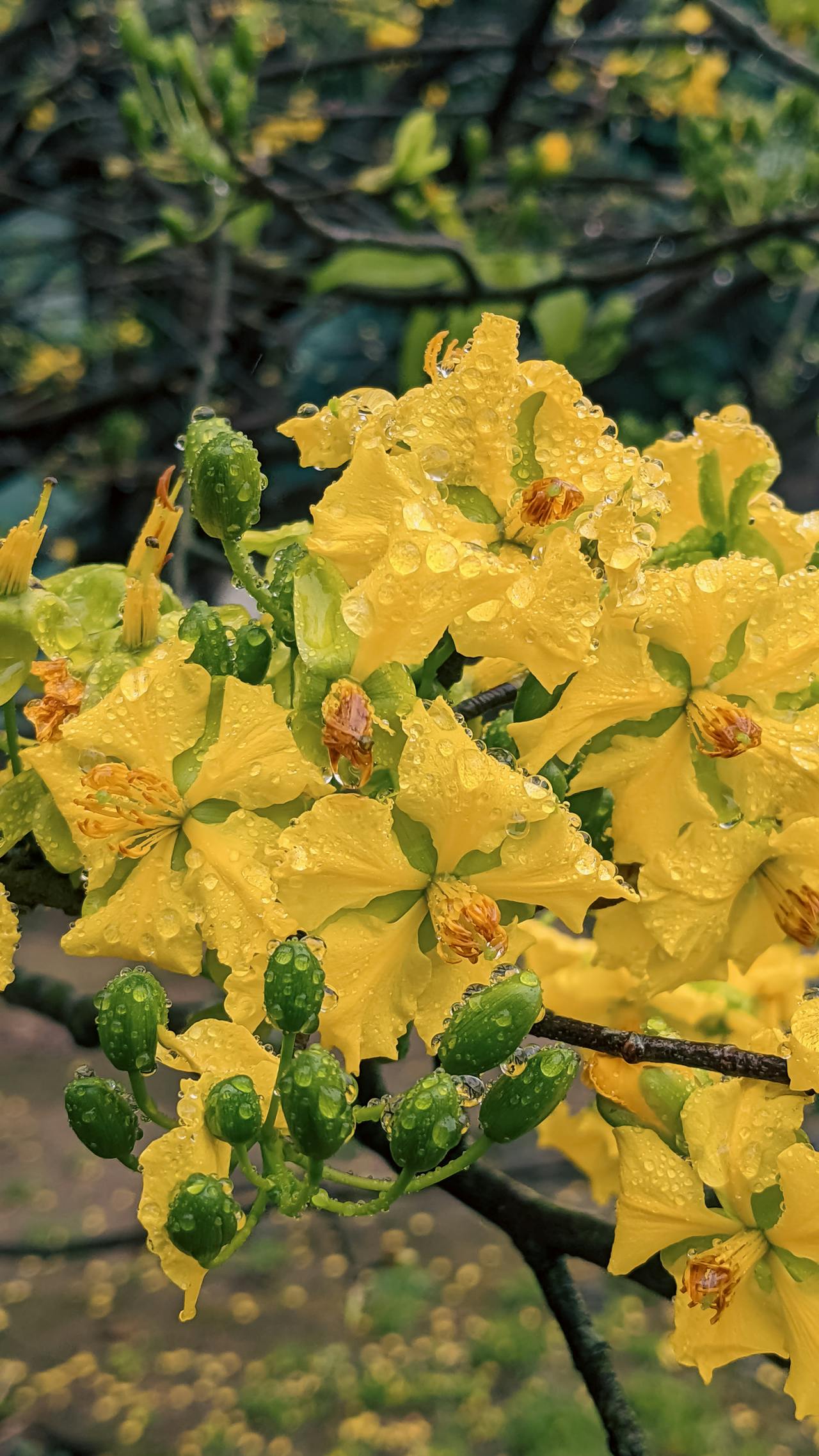 Bản năng bộ lạc cổ đại đằng sau văn hóa của con người