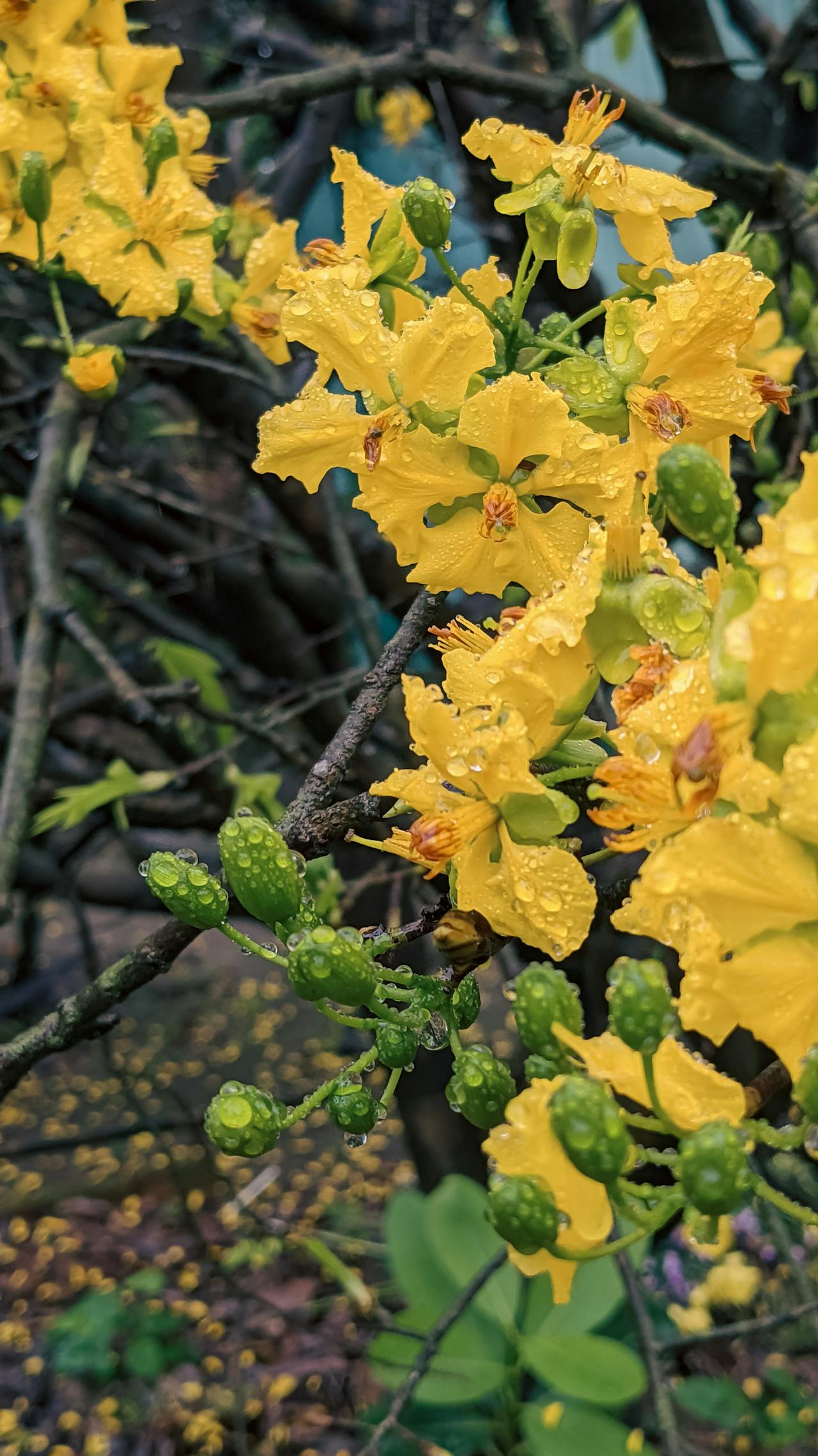 Thám tử lừng danh Conan | Chương 0192