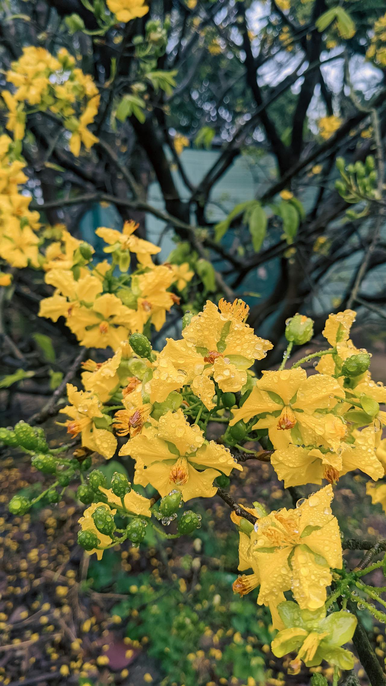 Thám tử lừng danh Conan | Chương 0946