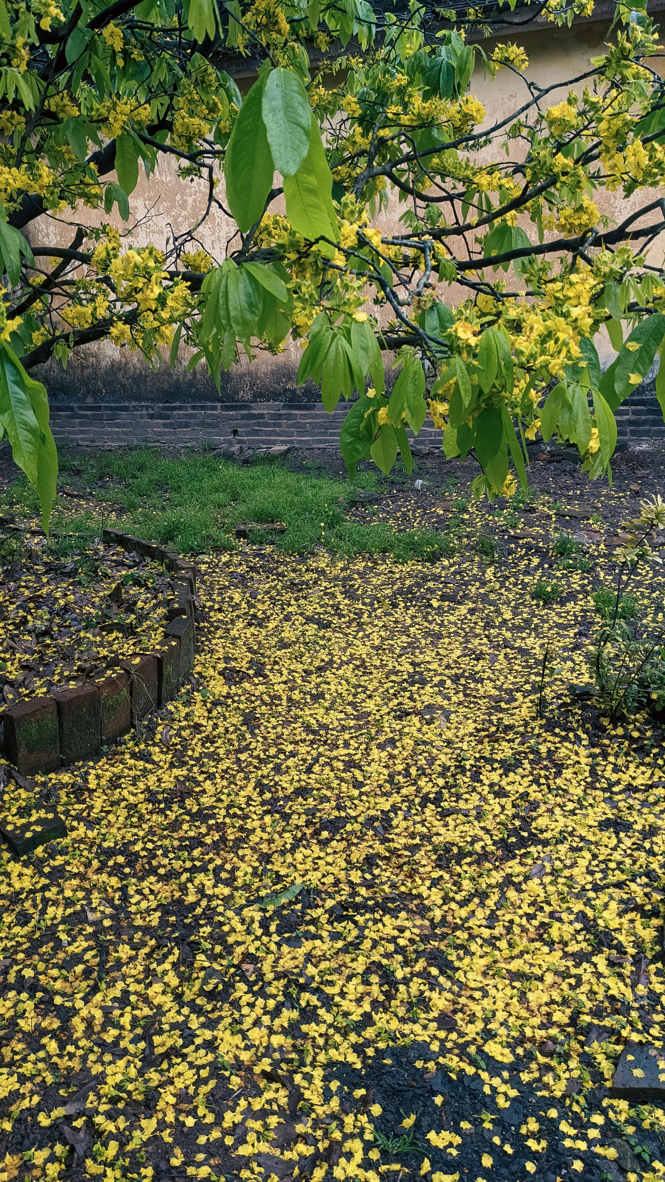 Trung tâm nghiên cứu văn học, phát triển nhà văn Việt Nam