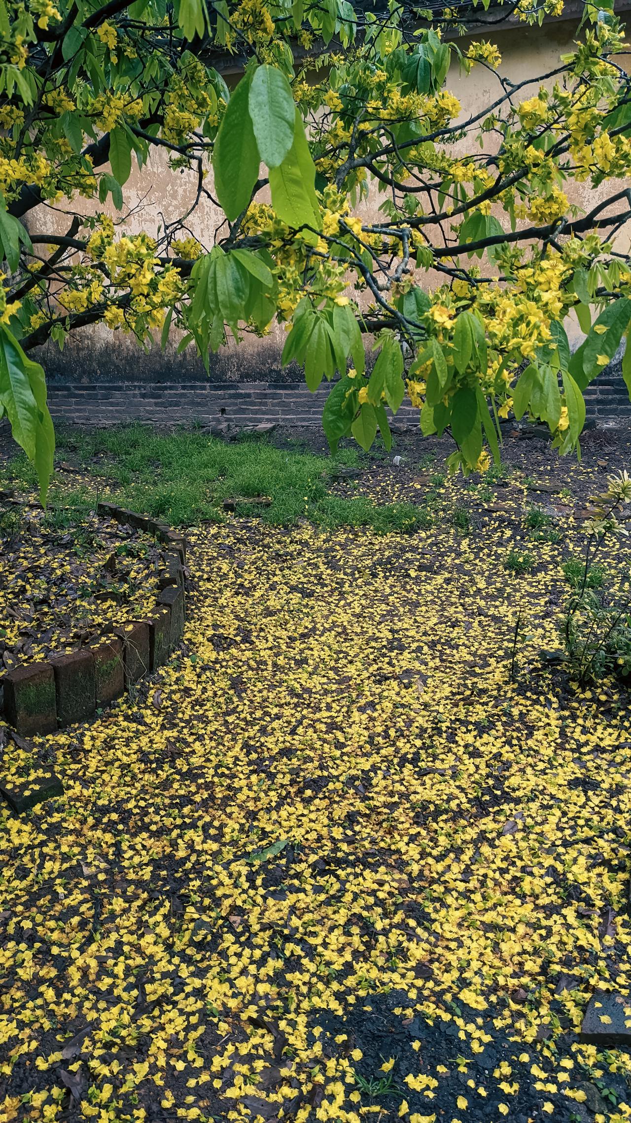 Khắc kỷ và Phật giáo có phải triết lý không lành mạnh