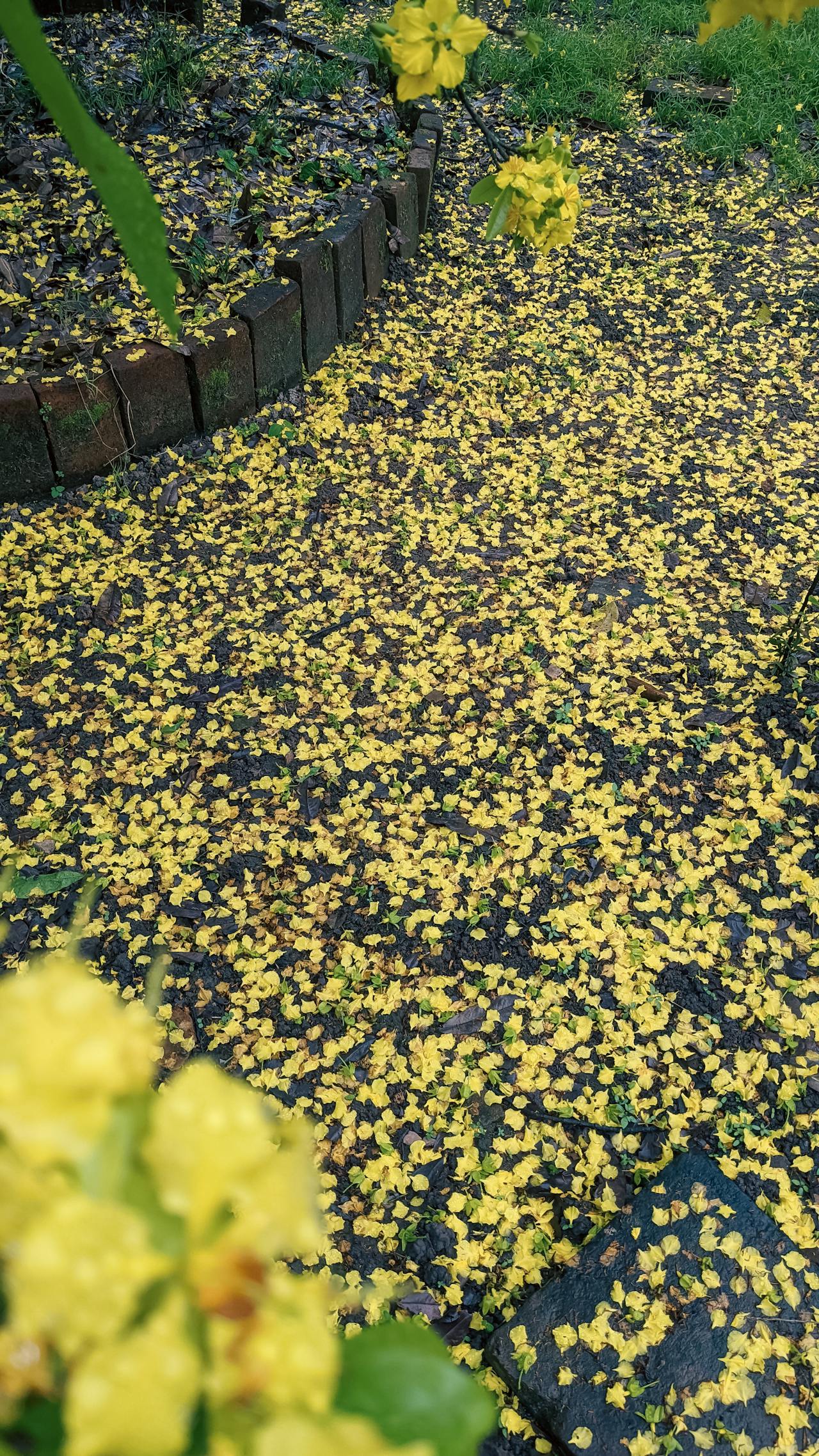 Bụt là hình hài, Bụt là tâm thức | Chương 02