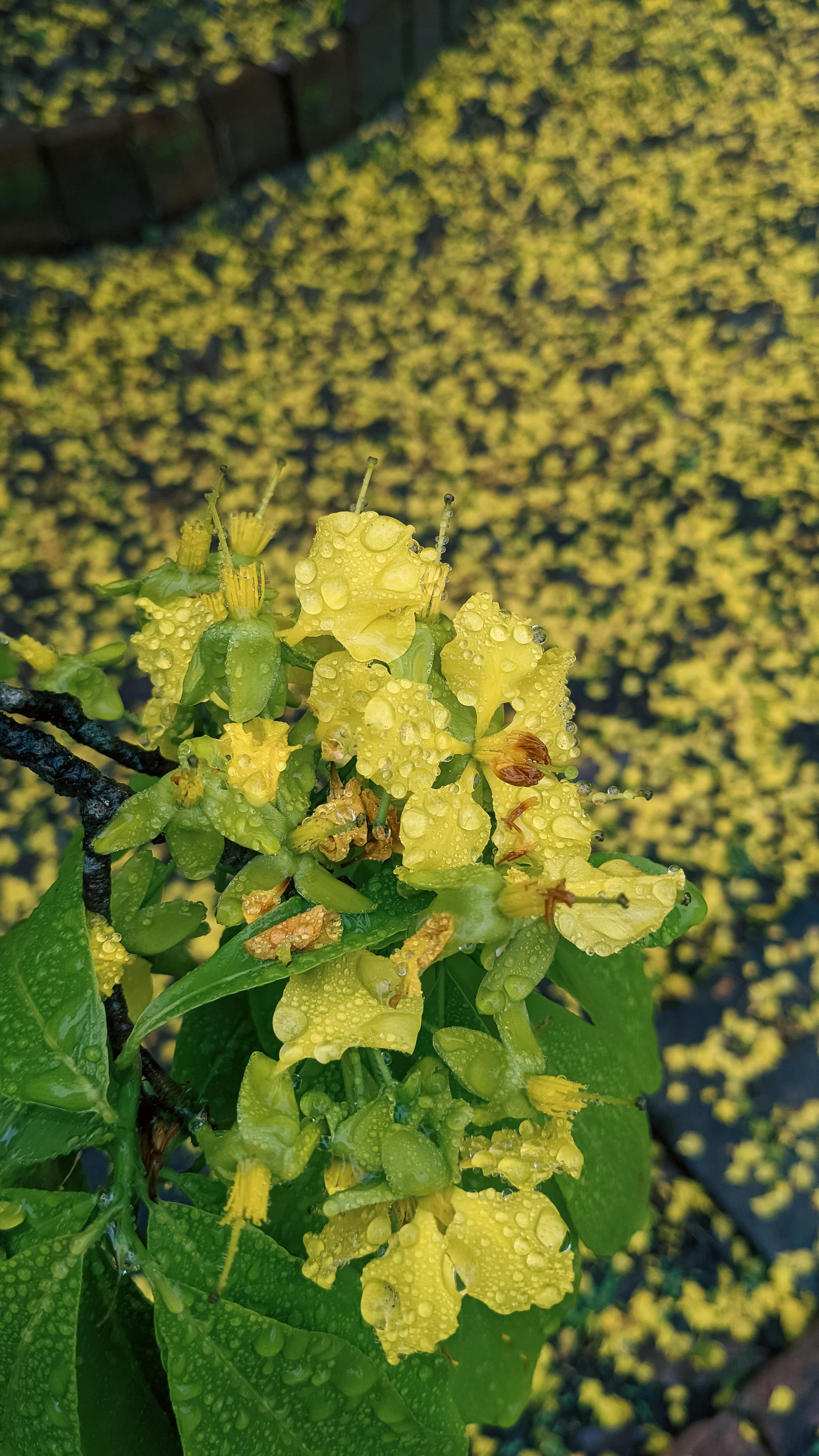 Sợ hãi | Chương 03 472 – thu vien, van hoc, van hoc viet nam, doan van, ton giao, phat giao, thien van, thuc hanh ton giao, thich nhat hanh, so hai, so hai chuong 03, so hai 03.