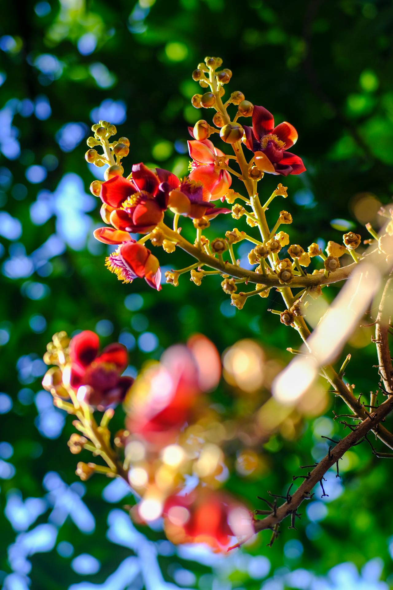 Tài liệu ôn thi tốt nghiệp THPT môn Ngữ văn 2026 – Thể loại văn bản thơ trữ tình