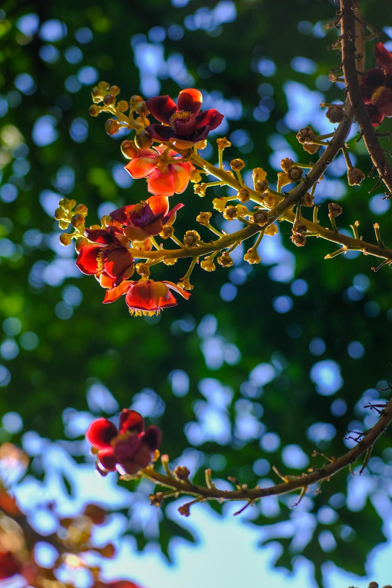 Con đã có đường đi | Chương 19