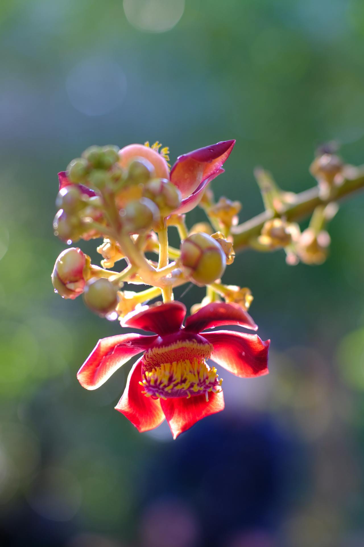 Viết bài văn nghị luận suy nghĩ về tác động của biến đổi khí hậu đối với đời sống con người