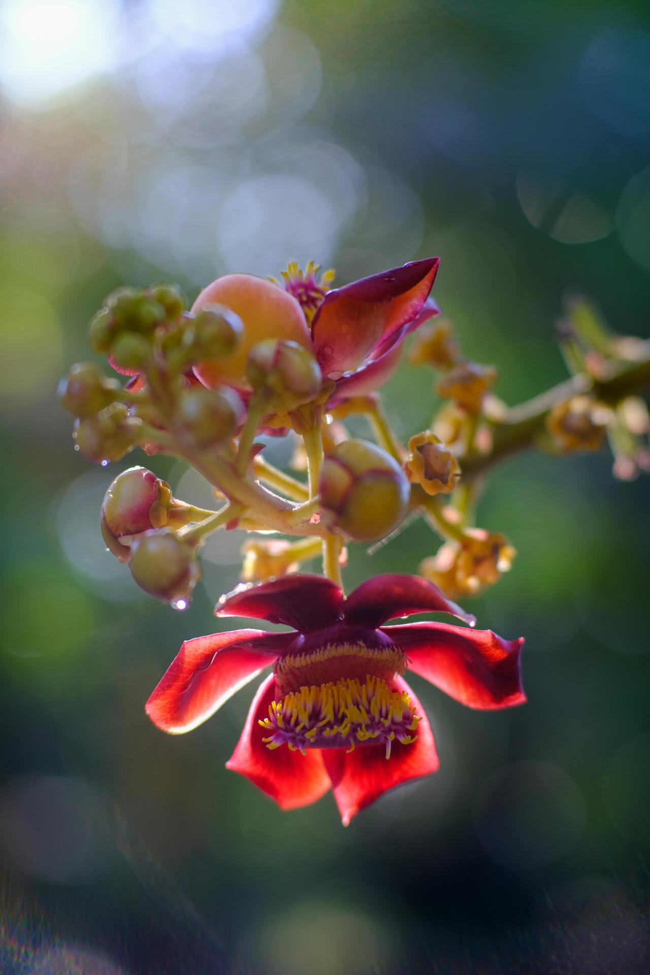 Thám tử lừng danh Conan | Chương 0491