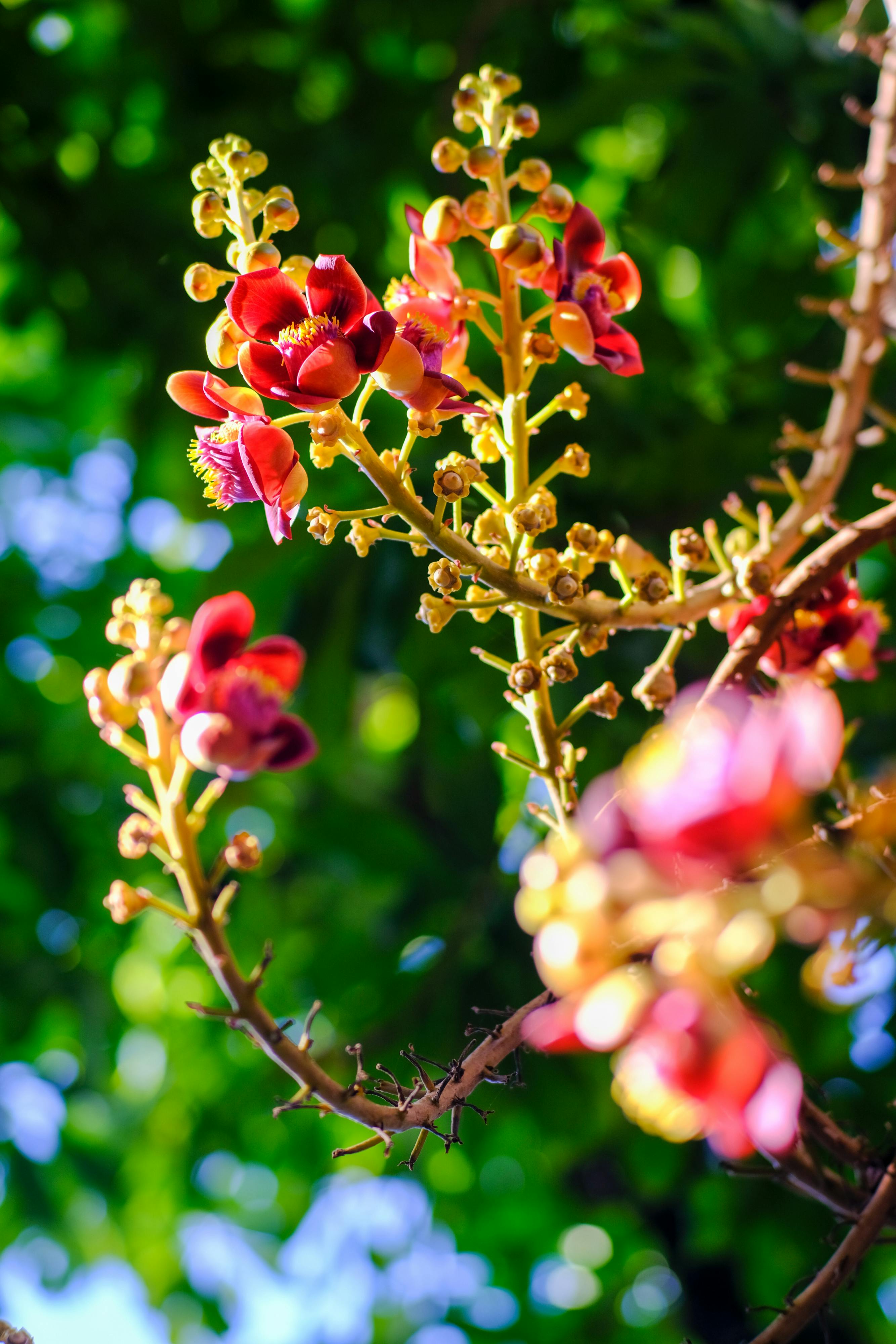 Đường xưa mây trắng | Chương 31 043 – thu vien, van hoc, van hoc viet nam, doan van, ton giao, phat giao, thien van, thuc hanh ton giao, thich nhat hanh, duong xua may trang, duong xua may trang chuong 32, duong xua may trang 32.