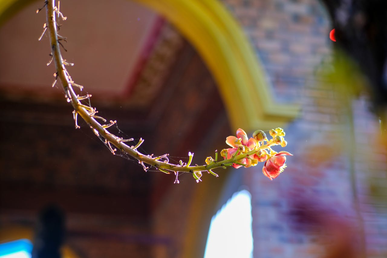 Niên lịch miền gió cát | Chương 22