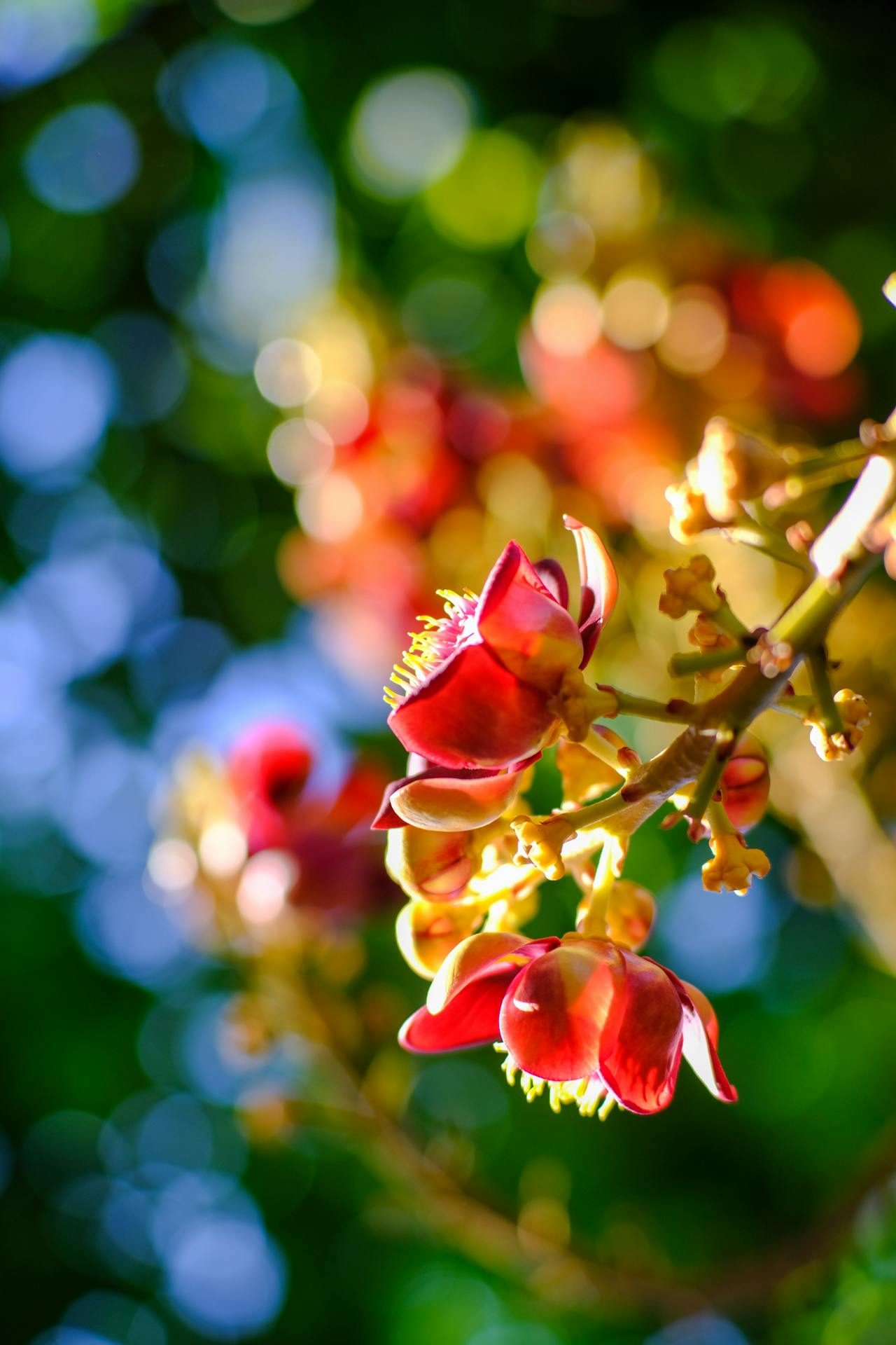 Quan hệ công chúng (PR) cho khách sạn