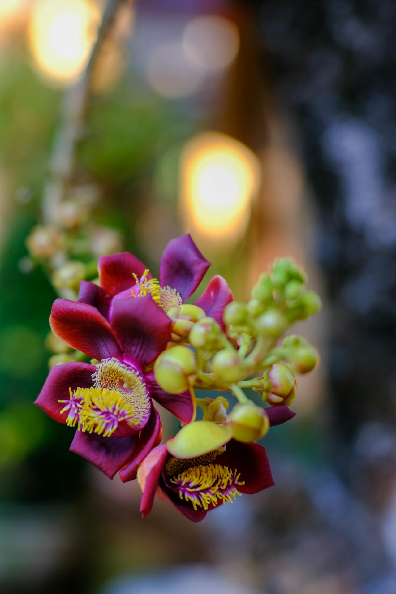 Thám tử lừng danh Conan | Chương 0529