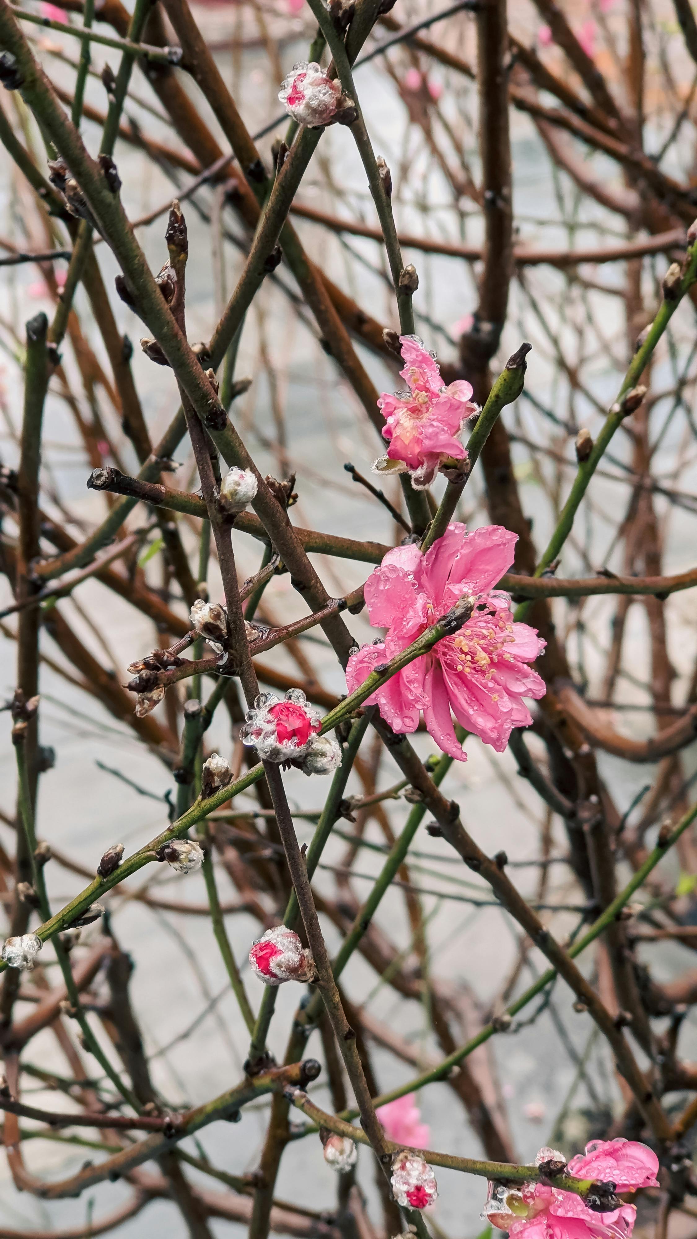 Tính lương nhân viên Spa hiệu quả cần phải biết 569 – viet thue, marketing, spa, b2b, spa tinh luong.