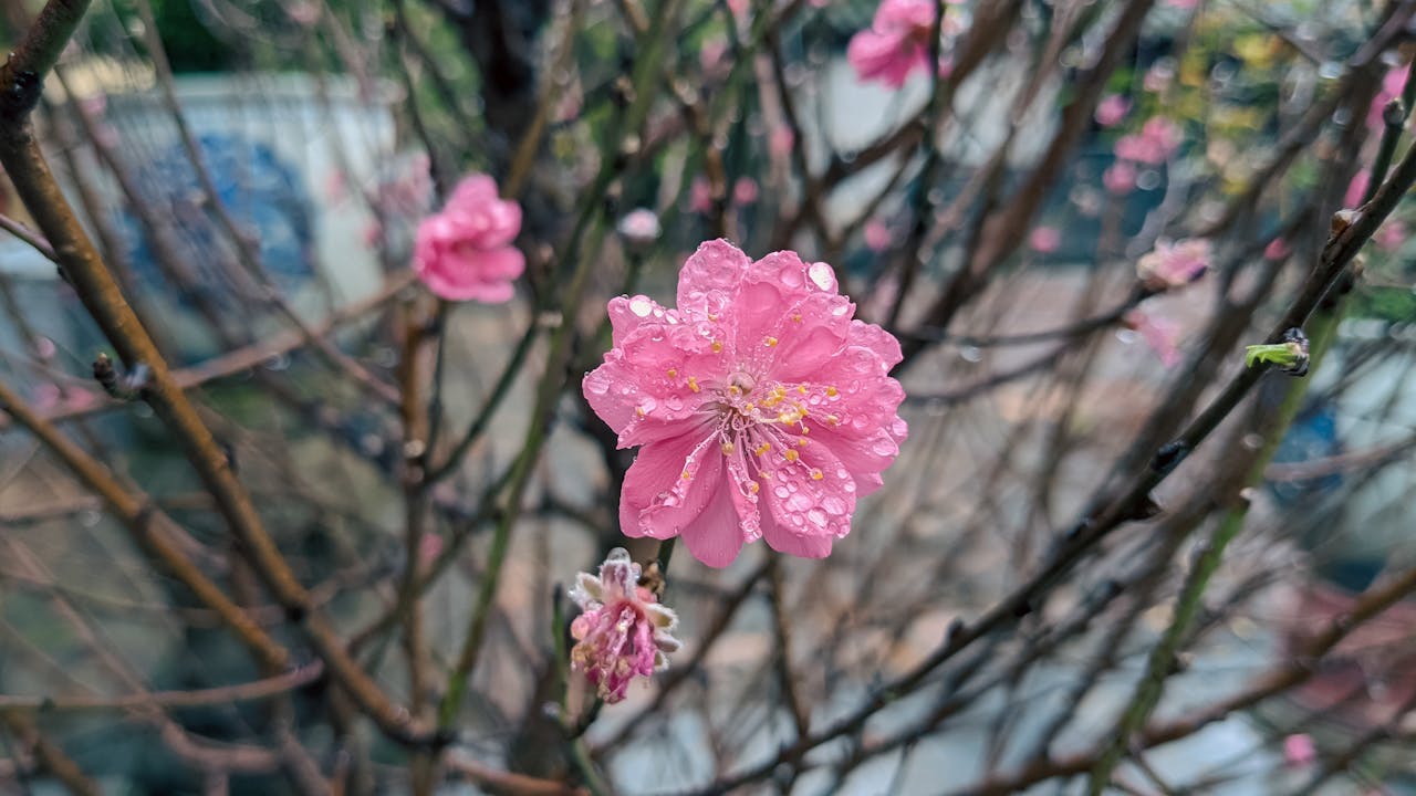 Thám tử lừng danh Conan | Chương 0964