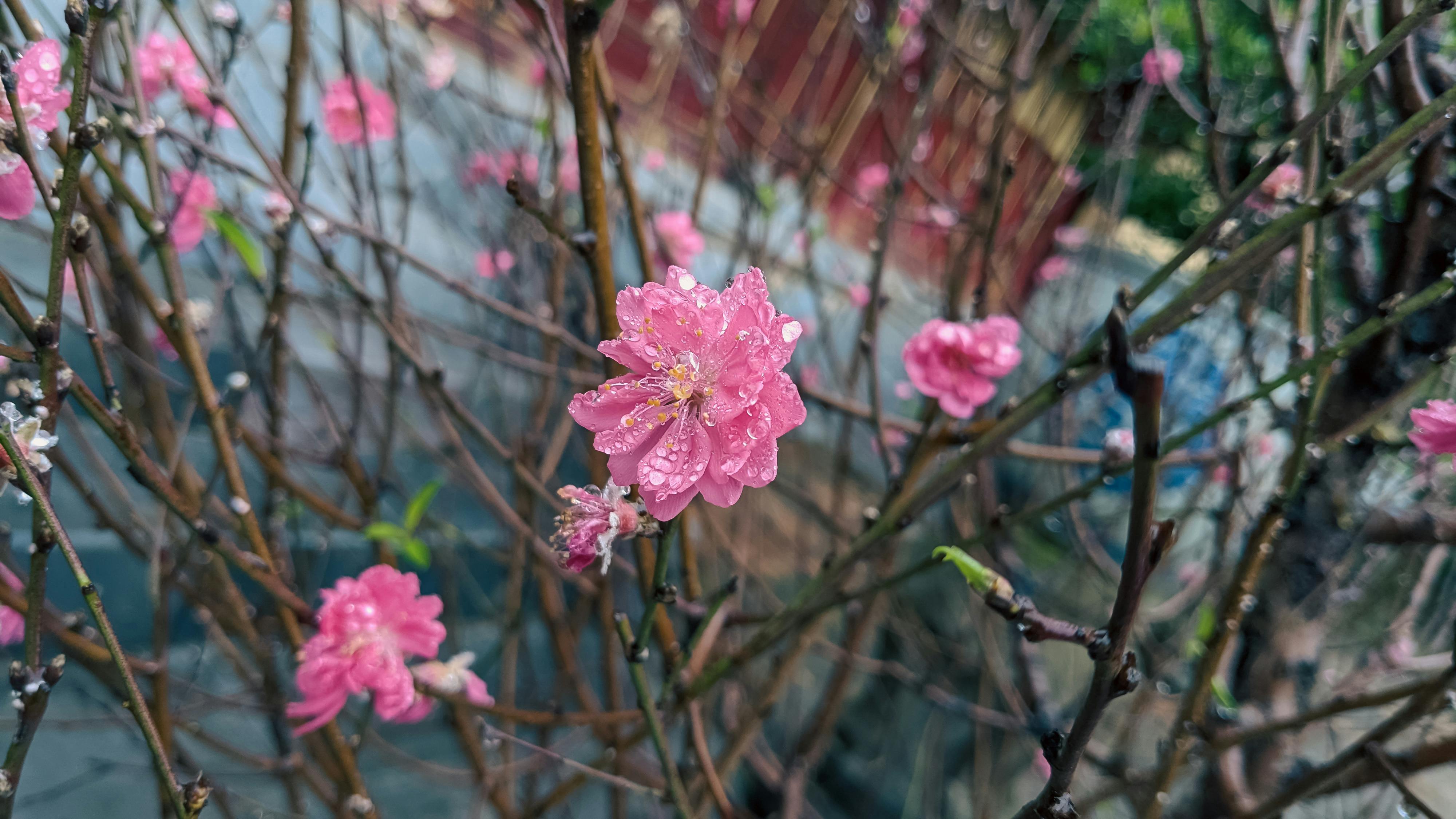 Trung tâm nghiên cứu văn học, phát triển nhà văn Việt Nam