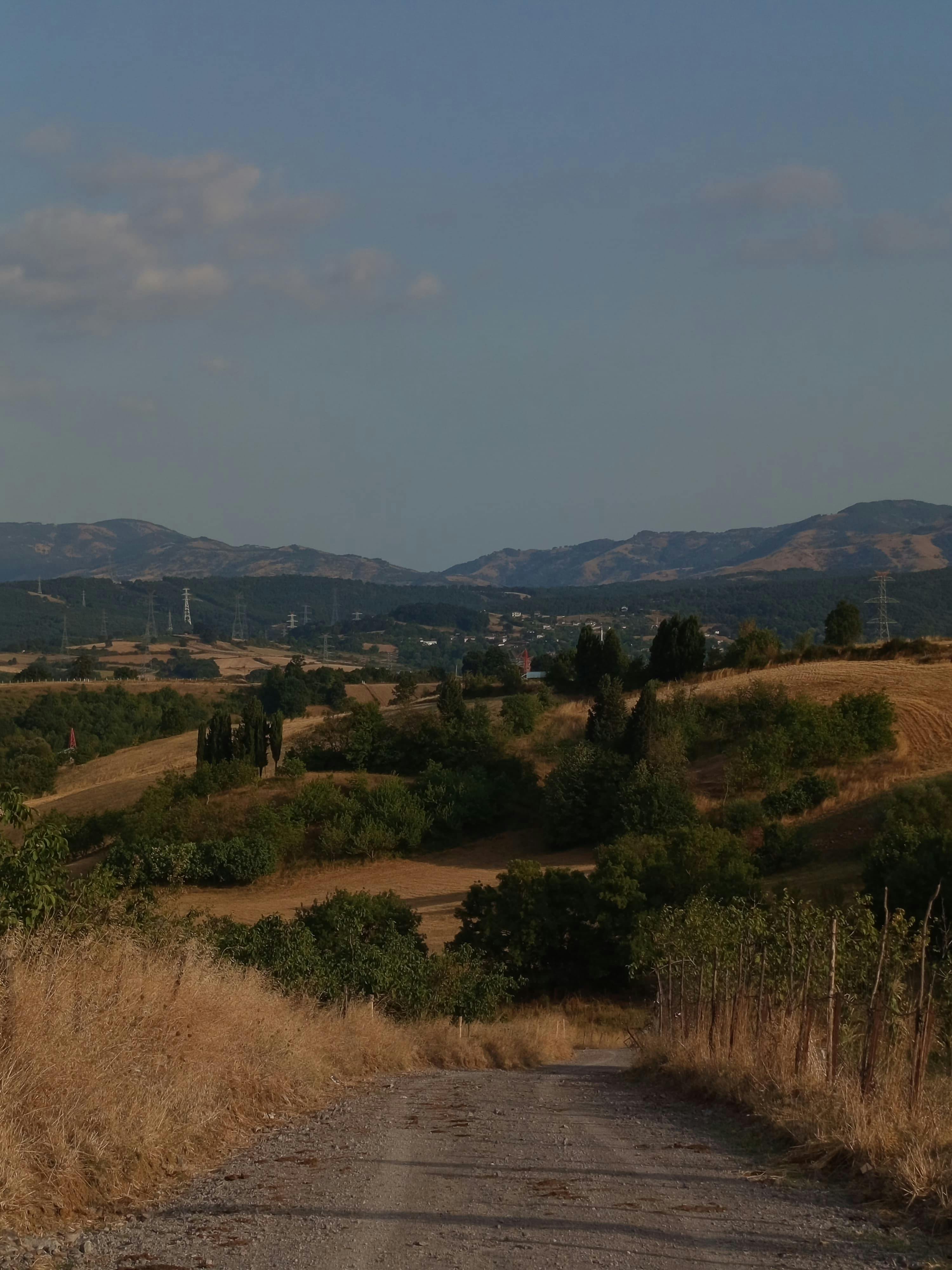 好的，我会按照您的要求进行句子的优化