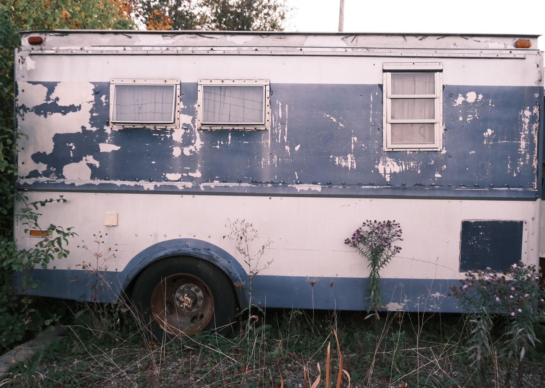 Professional removals crew at work — man and van Camden