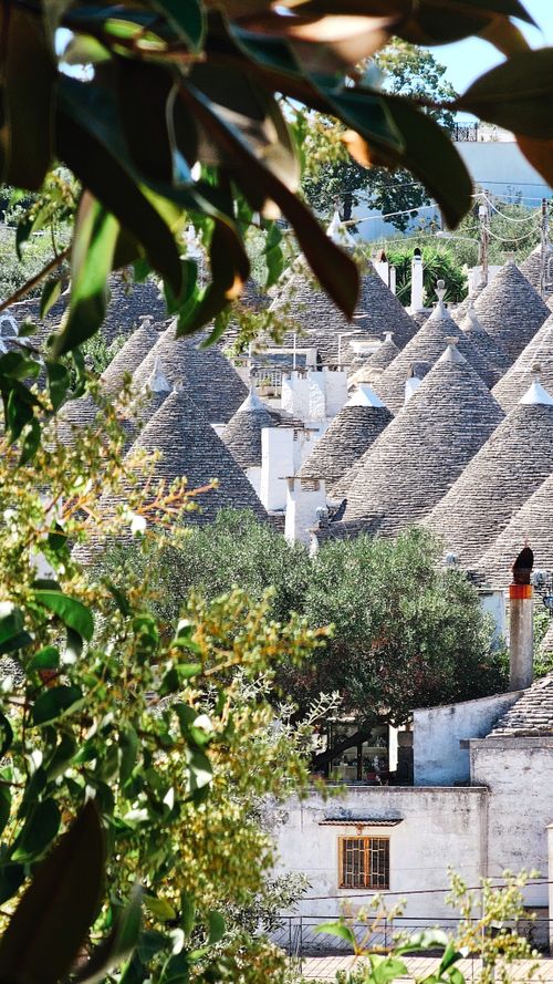 Free Charming trulli rooftops viewed through lush greenery in Alberobello, Italy. Stock Photo