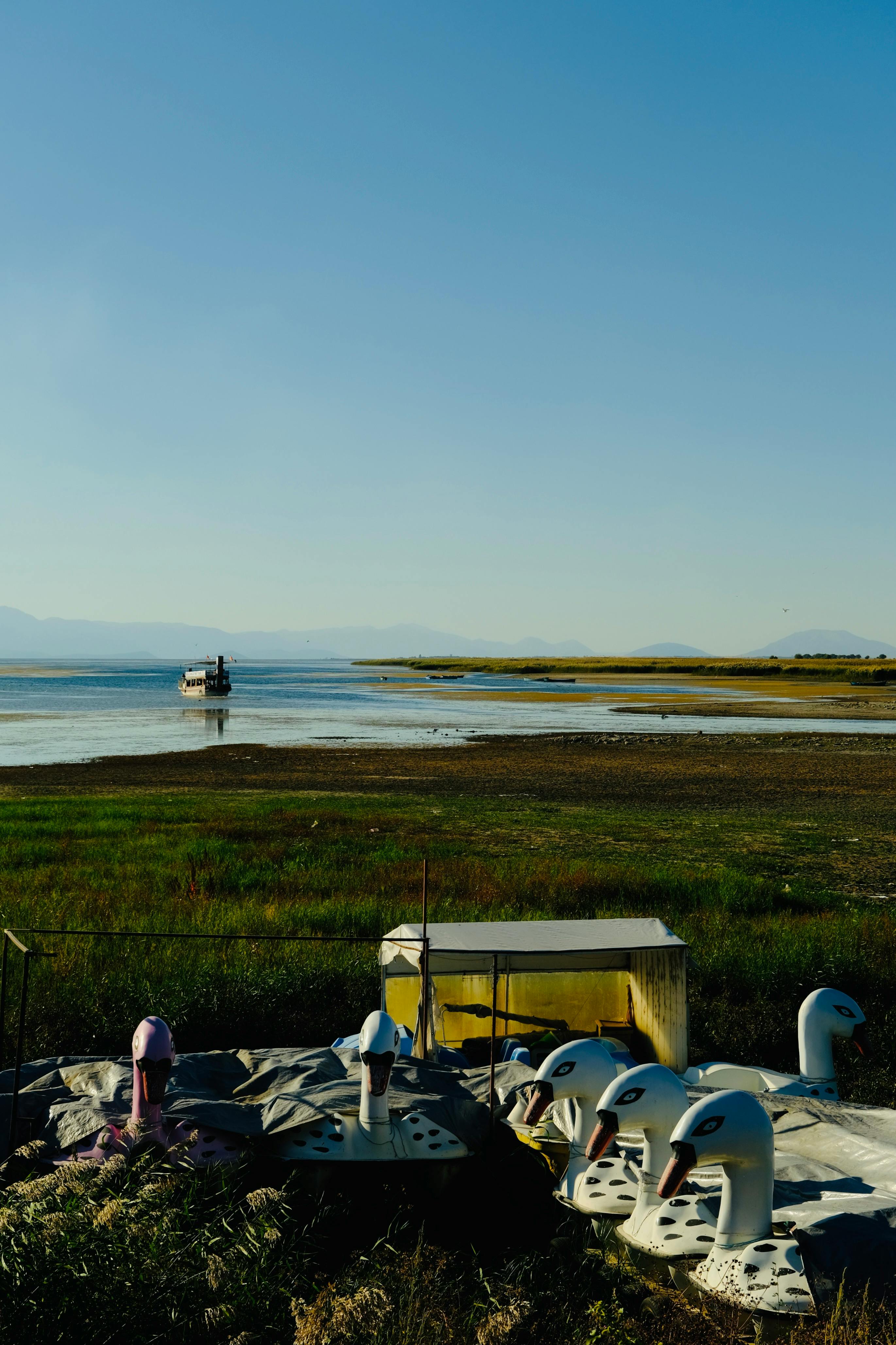 好的，我明白了