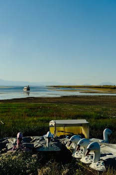 好的，我明白了