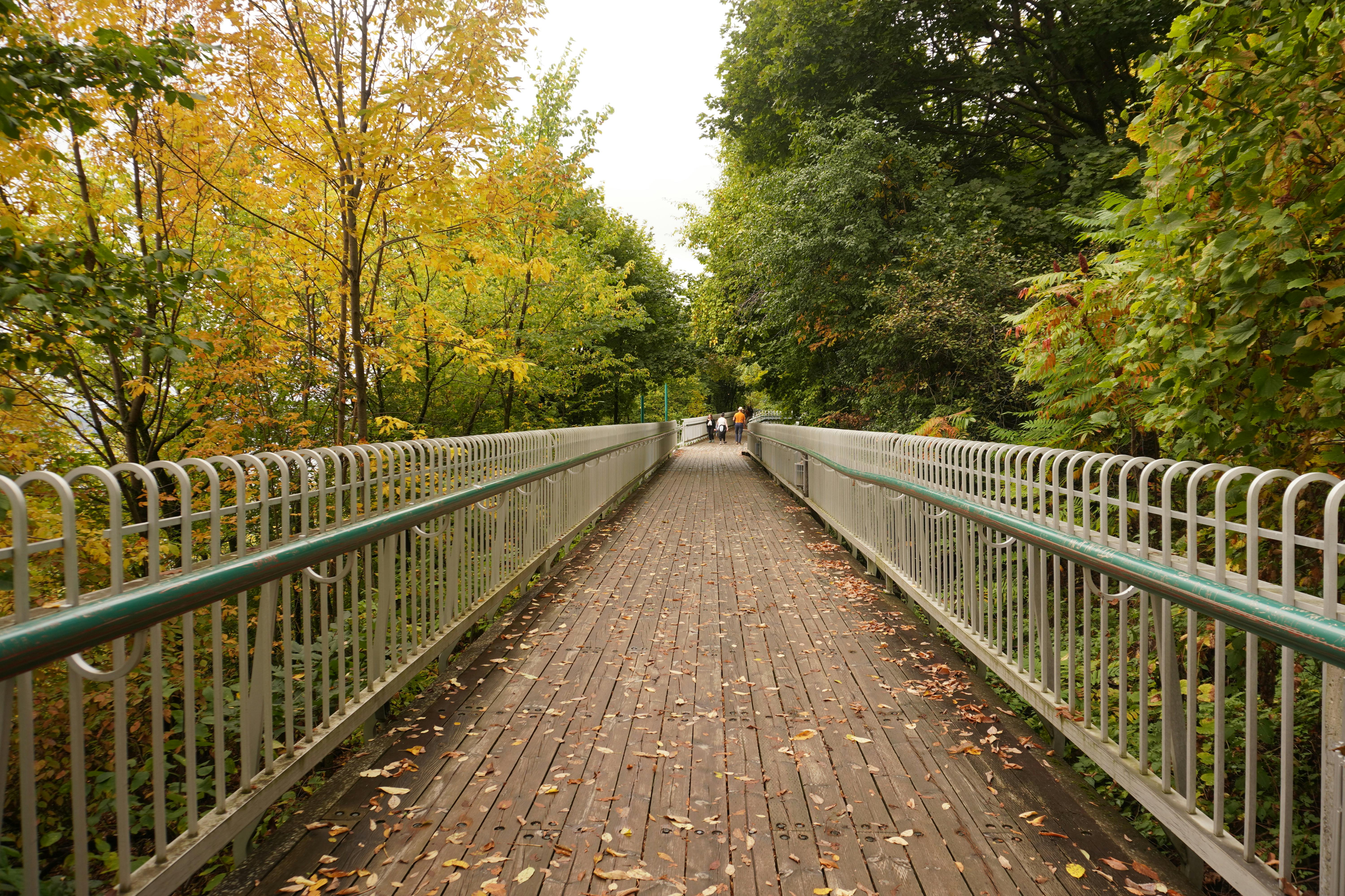 苓雅運動生活圈增設滯洪公園 打造綠意全民共享空間