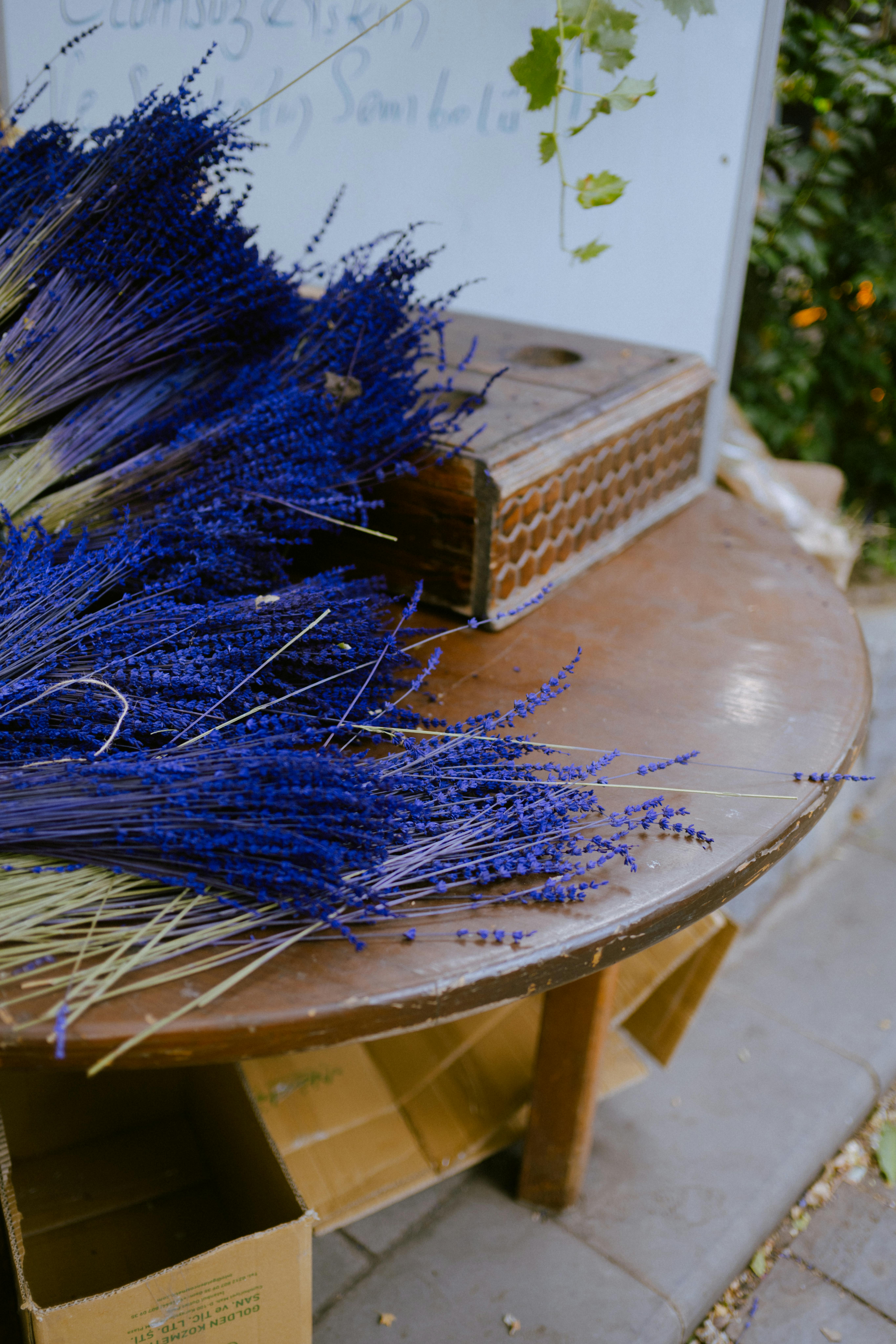 5 plante aromatice care rezistă toamna târziu în grădină