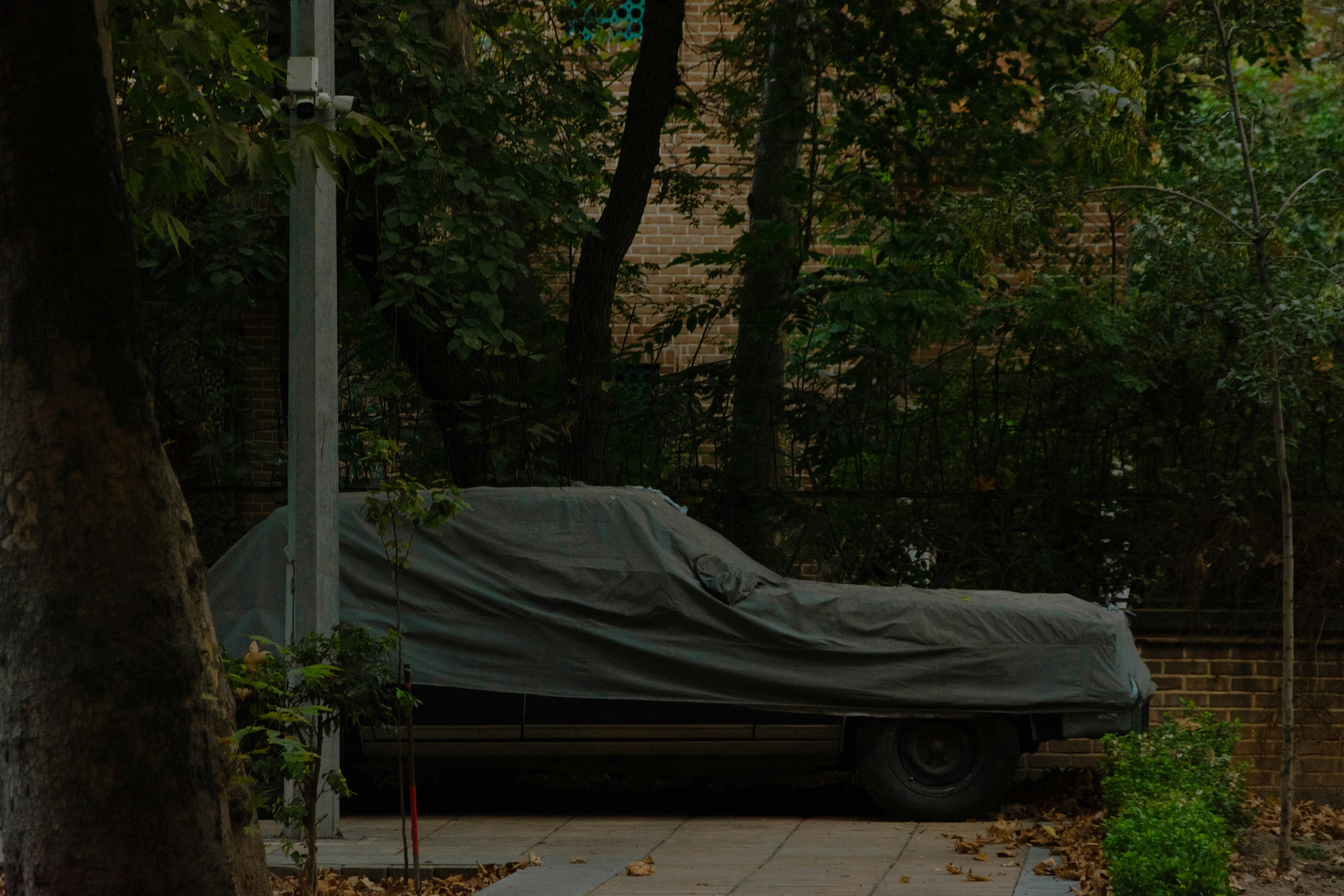 生活：埃德·蓋因真實故事揭秘：他真的挖掘母親遺體嗎？