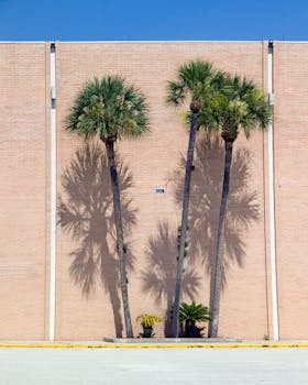 Palms cast their shadows against a brick wall.