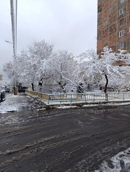 好的，我会遵循您的指令，对您提供的句子进行优化