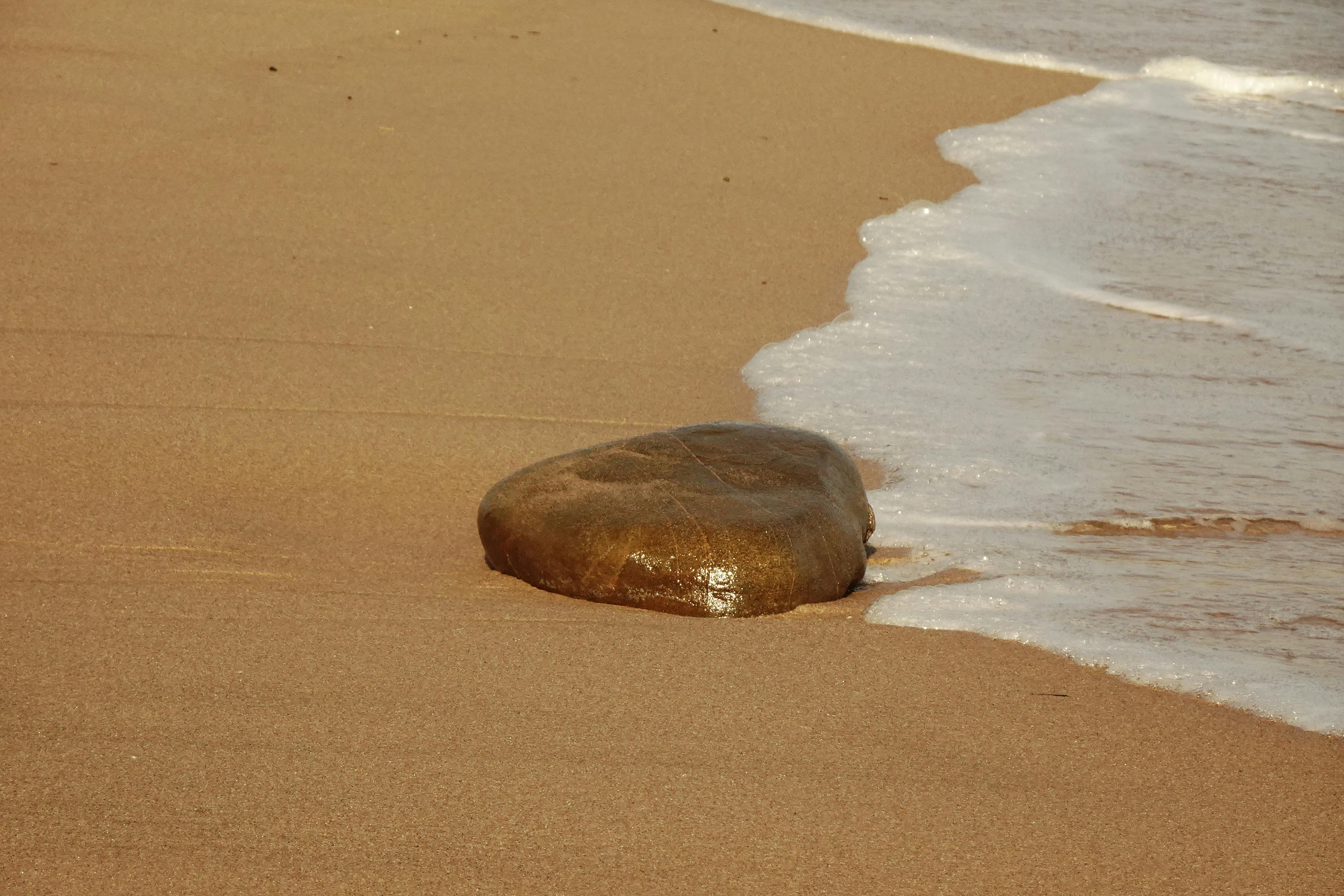 2025臺灣國際衝浪公開賽11月4日開賽 國際選手火熱報名中