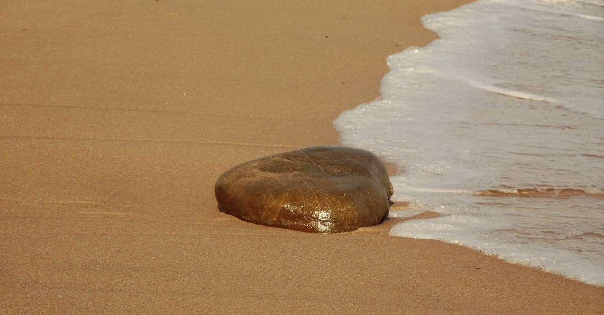 2025臺灣國際衝浪公開賽11月4日開賽 國際選手火熱報名中