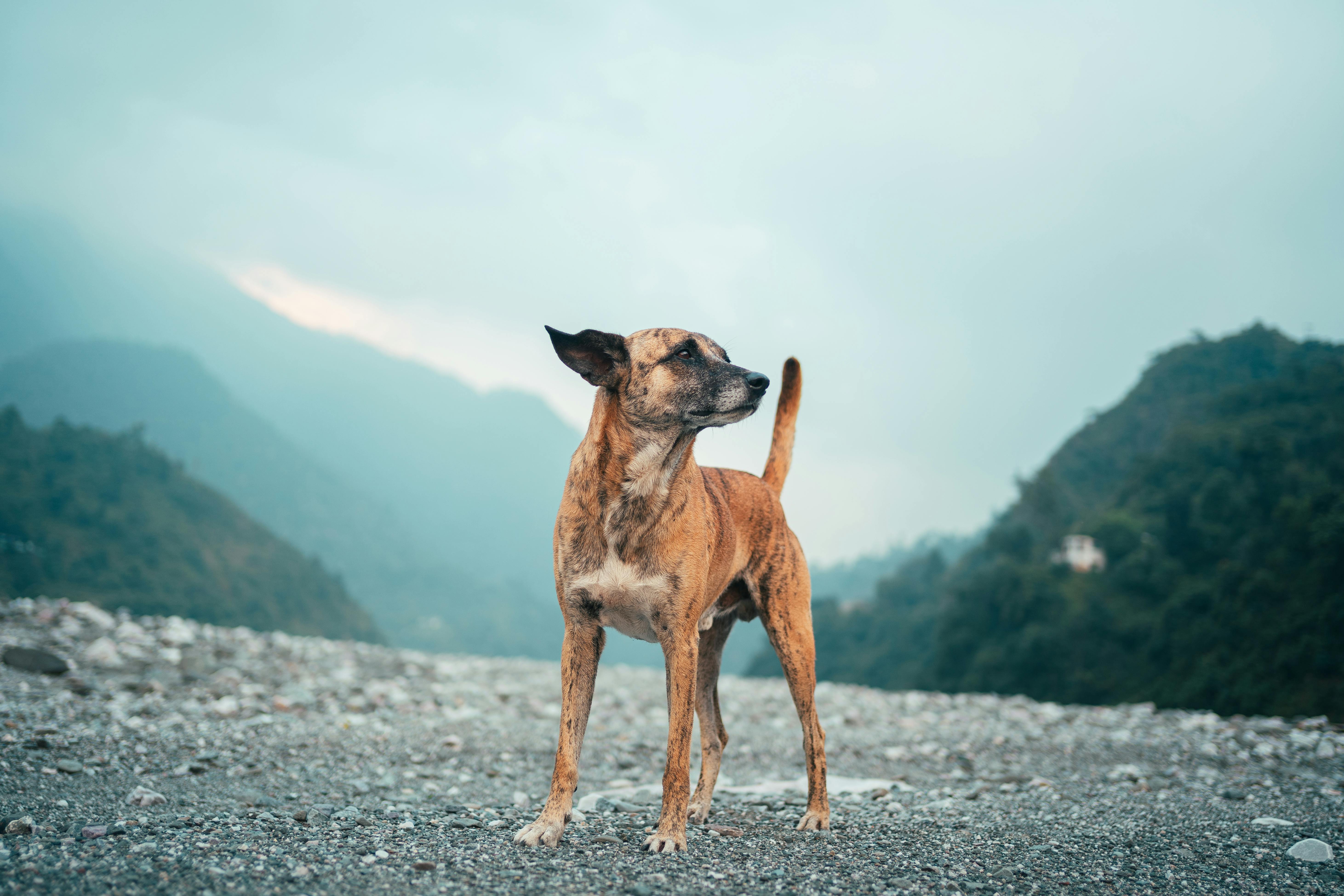 財經：NBA攜手AWS深化多年合作，推動數位轉型與賽事創新