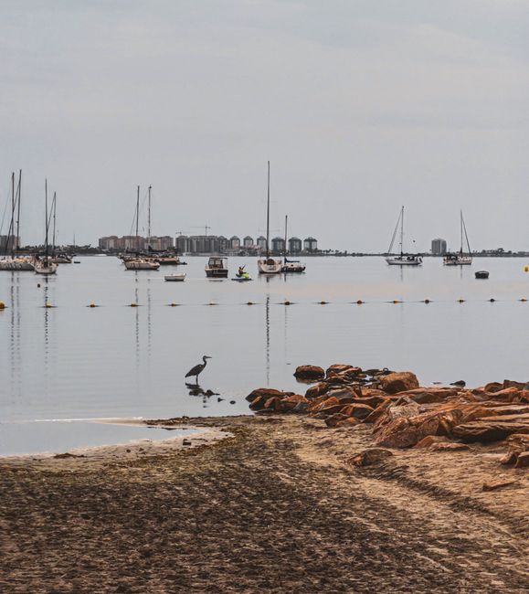 Locura total: han bajado vacaciones en el Mar Menor hasta 592€