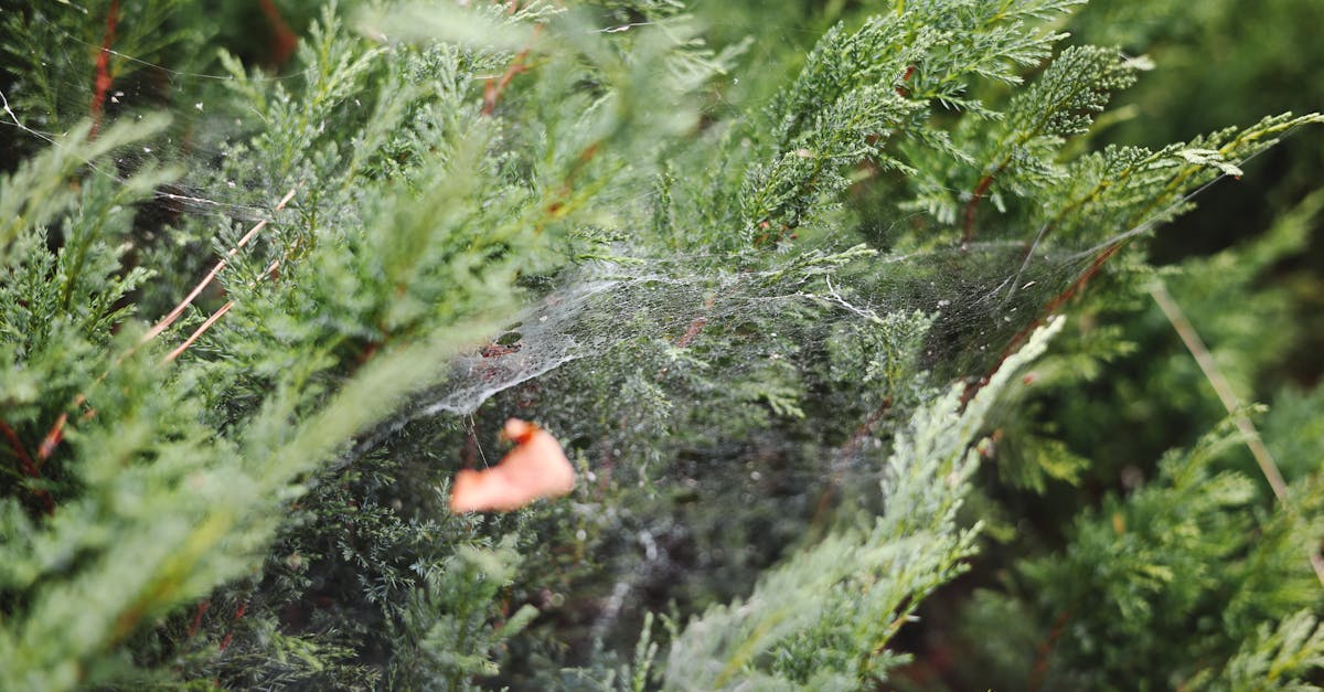 科技:中國打造分散式AI軍事網路,引發全球安全關注