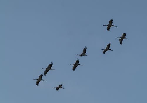 您的请求没有提供具体的句子，因此我无法直接对其进行优化