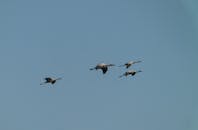 您提供的信息较少，无法进行优化