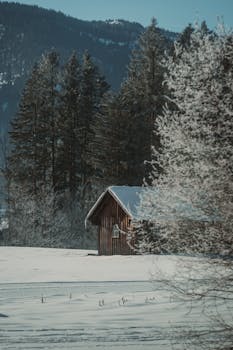 A peaceful winter scene with a cozy cabin surrounded by snowy woods in Schladming, Austria.