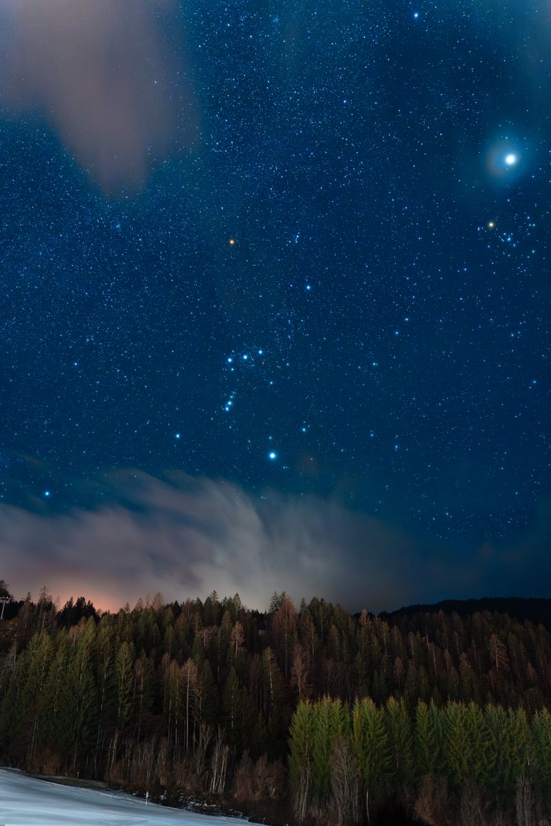 Beautiful night sky with Orion constellation over pine forest in Carinthia, Austria.