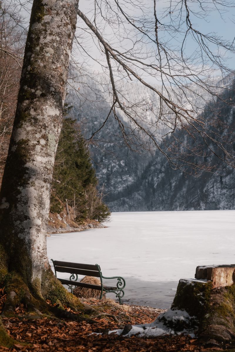 Tranquil winter view of a frozen lake and empty bench surrounded by nature in Grundlsee, Austria.