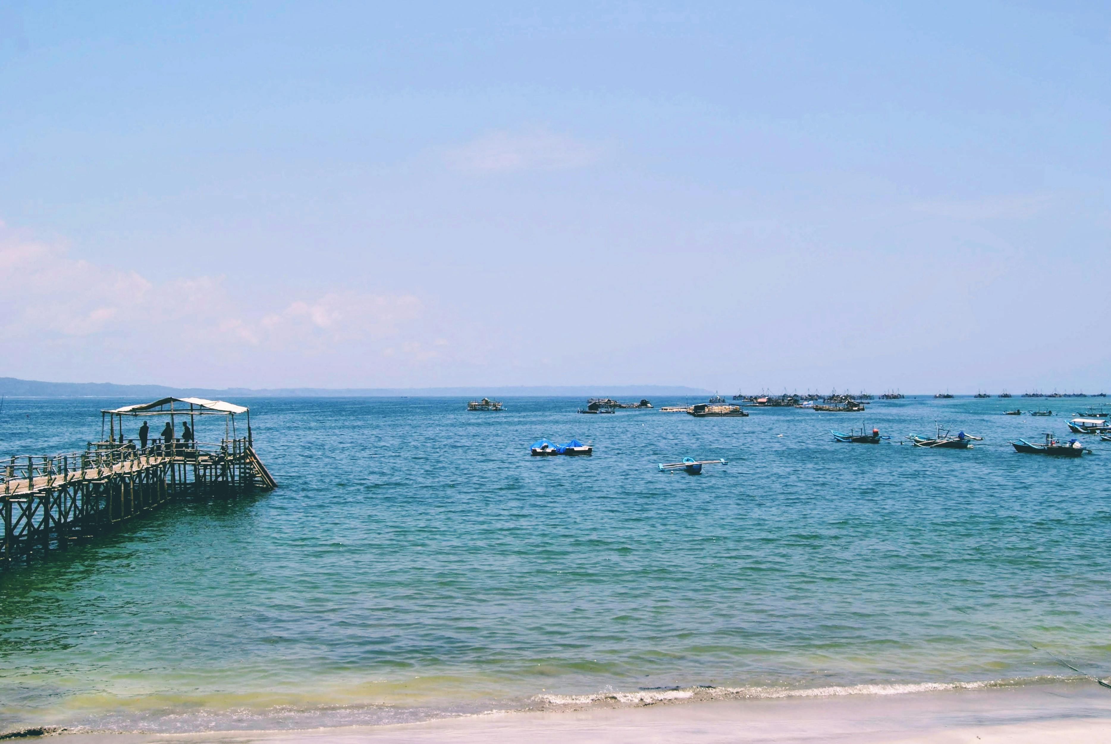 2025臺灣國際衝浪公開賽11月4日開賽 國際選手火熱報名中