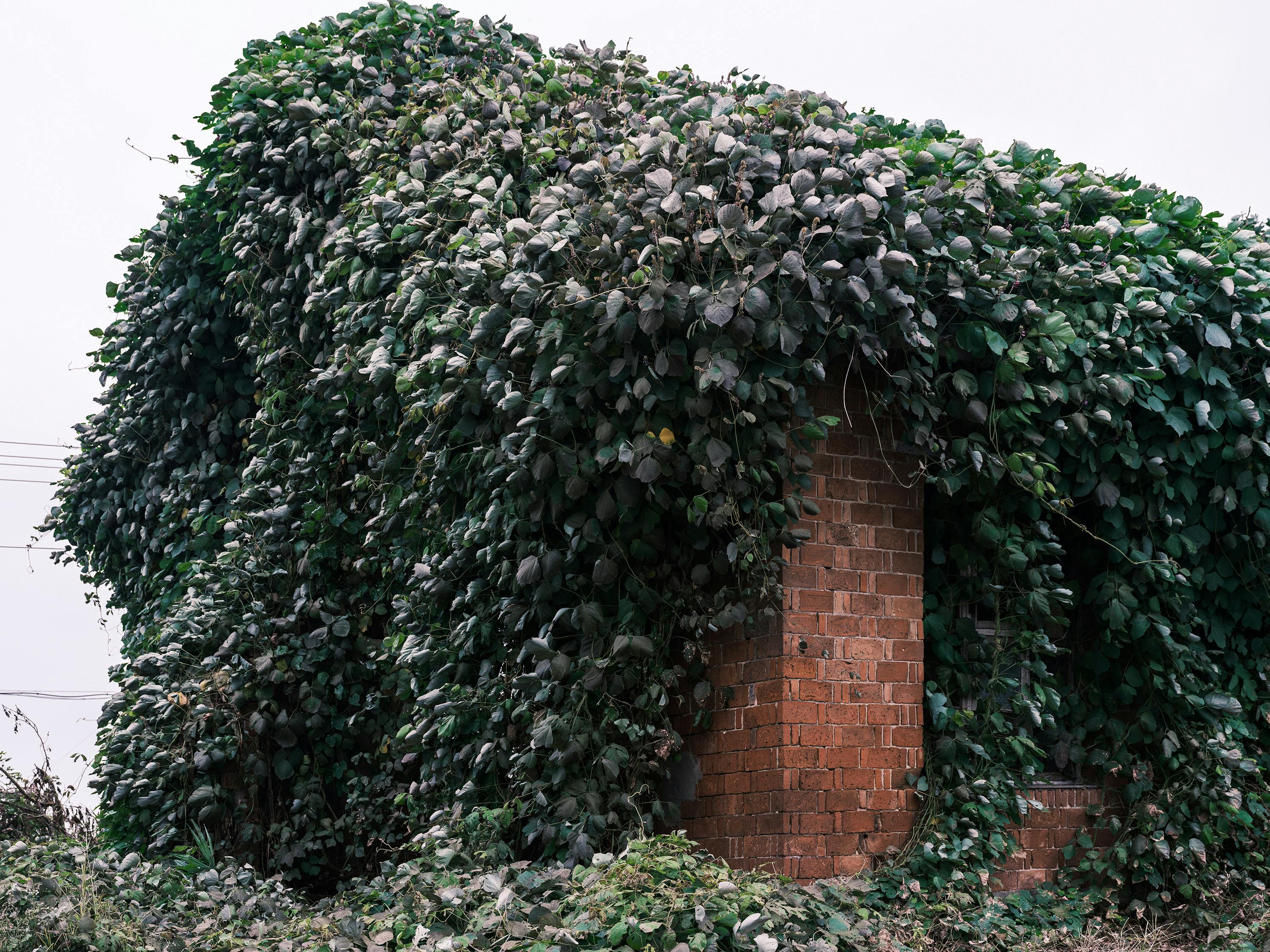詹文男解析高科技背後的玄學秘密，揭開科技與神秘學的微妙關聯
