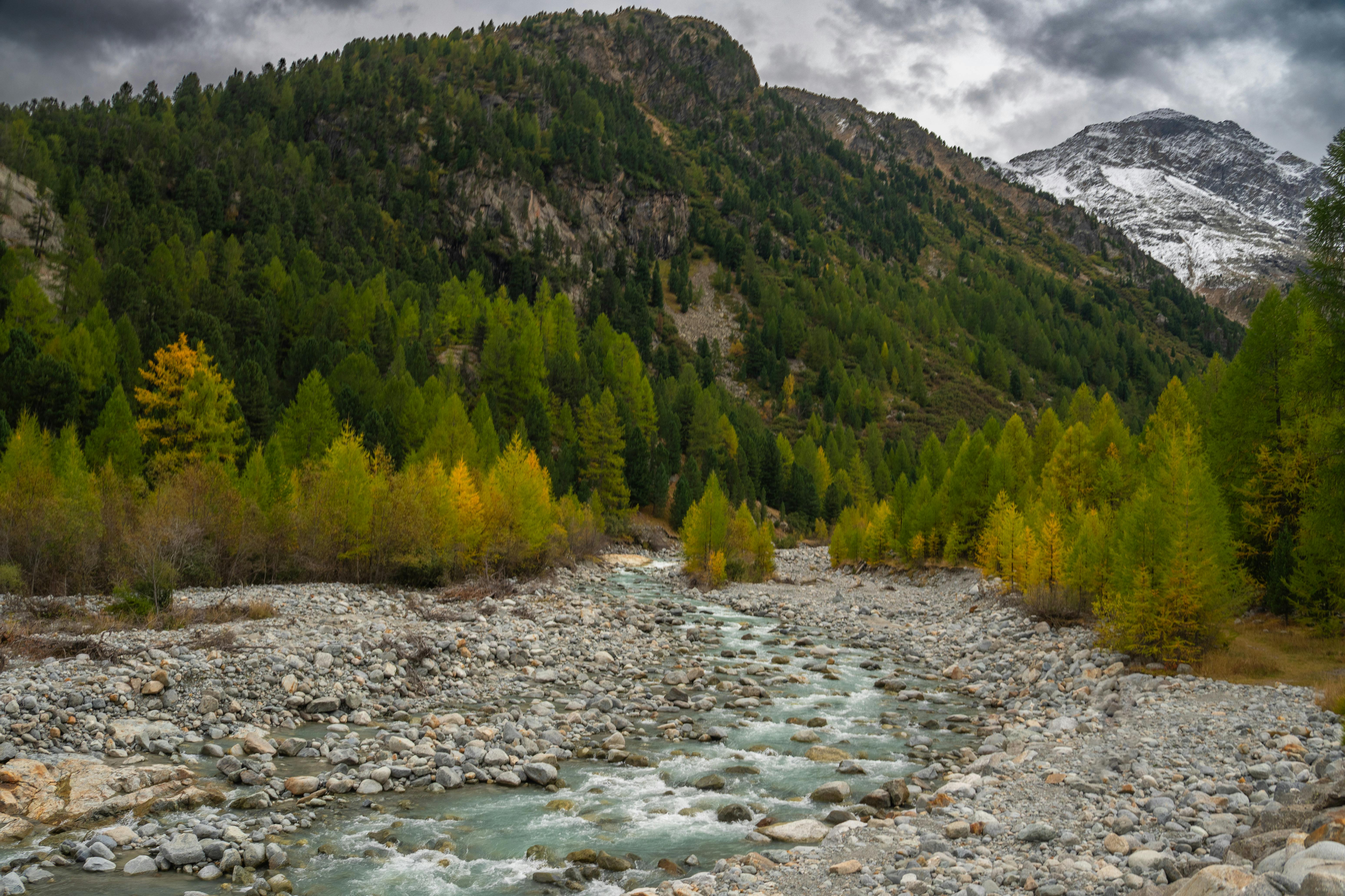 Explore the vibrant autumn colors and mountainous scenery of Graubünden, Switzerland. Ideal for nature enthusiasts.