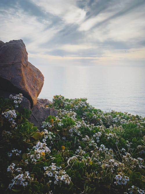 Photo Of Seaside During Daytime