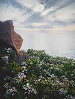 宁静的沿海场景，以岩石、鲜花和多云天空下宁静的海景为特色