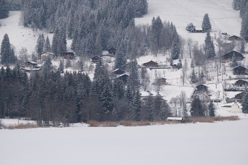 Free Scenic view of a snow-covered village in the Swiss Alps with pine forests. Stock Photo